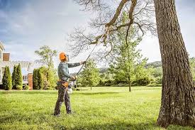 Best Firewood Processing and Delivery  in Brisbane, CA