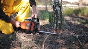 Lawn Drainage Solutions in Brisbane, CA