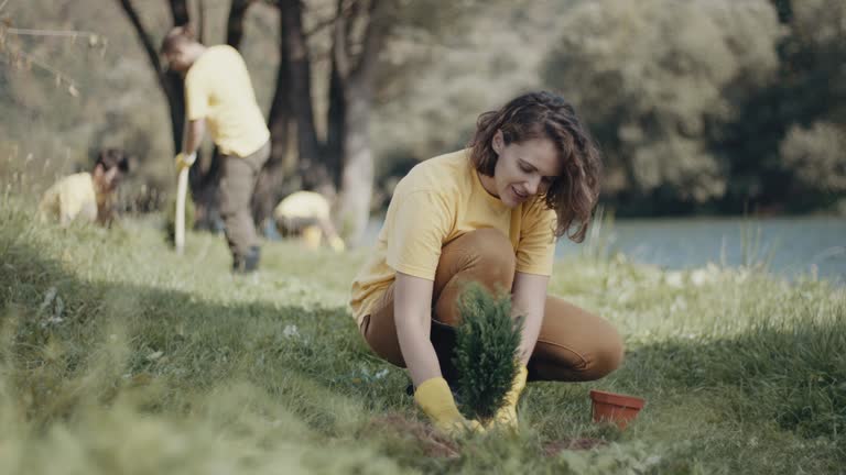 Best Lawn Disease Treatment  in Brisbane, CA