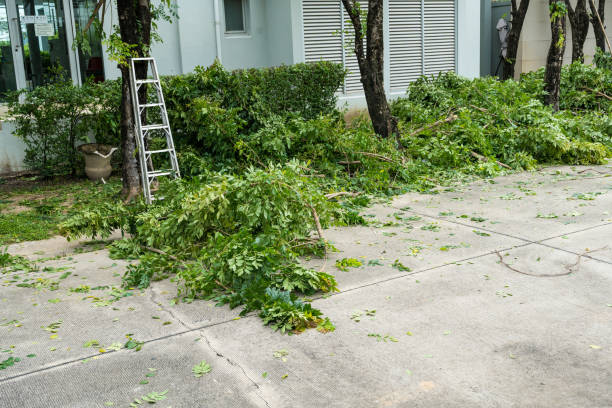 Best Lawn Drainage Solutions  in Brisbane, CA